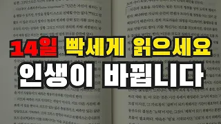 2주 동안 미친 듯이 책을 읽어보세요. 인생이 바뀝니다.