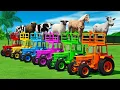 Download Lagu BULLS, RAMS, SHEEPS, GOATS, HORSES \u0026 COWS TRANSPORT WITH ISUZU TRUCKS - FS22