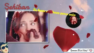 Şehîban Tu Hem Roj Hem şeva Min الفنان شهيبان من أروع ماغنى 