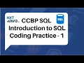 Introduction to SQL Coding Practice - 1
