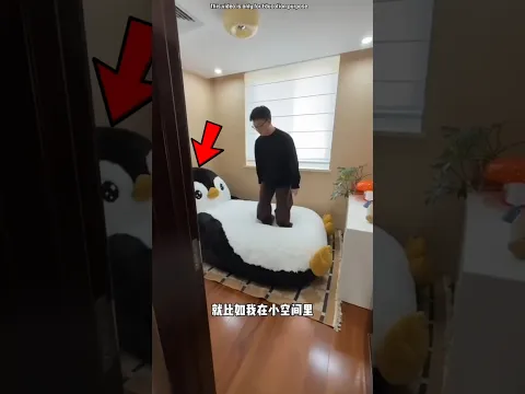 Rabbit bed 😲