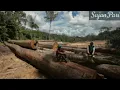 Download Lagu LAGU DAYAK KALIMANTAN \