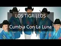 Cumbia Con La Luna (Los Tigrillos).