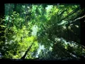 Download Lagu Hijau (Malaysia Rainforest Song) - Zainal Abidin