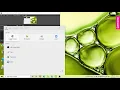 Abusing https lingojam
