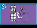 What is a Chromosome