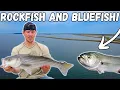 Live Lining For ROCKFISH and BLUEFISH On The CHESAPEAKE BAY The REEF Saved The Day