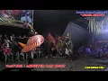 Download Lagu MUNCUL BUDOYO MB Tari PITIK PITIKAN live Beran lor