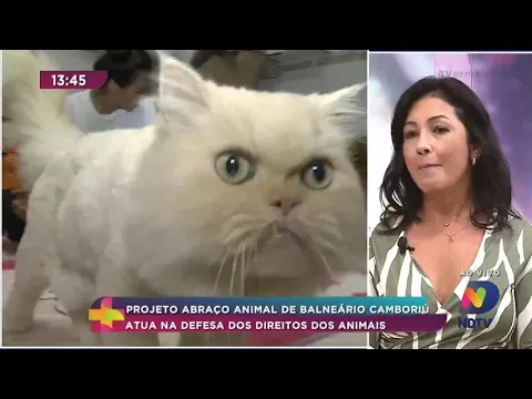 Projeto Abraço Animal de Balneário Camboriú atua na defesa dos direitos dos animais