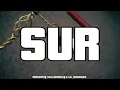 N8NASSTY X FLAKOSTEPPN - SUR