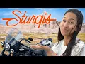 Download Lagu Solo Road Trip to Sturgis: The REAL reason people go