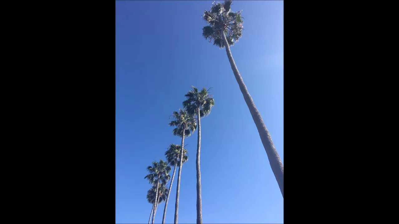Del Playa - Easy Del Playa - Easy