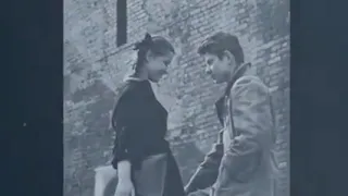 Олег Хромов Белые птицы 