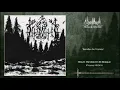 Lagu Solitudinem - Promo MMXX [Perdido En El Bosque] (Full Album)