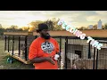 Feeding XL Bullies and Cleaning Kennels
