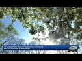 Pharmacist offers advice on easing allergy symptoms
