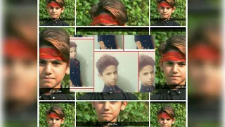 حامد هاني دندنها