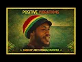 Lagu ALBUM   Positive Vibrations   Smoking Joe's Reggae Mantra