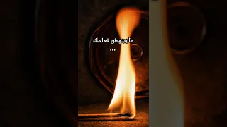                                                                            راب تونسي دندنها