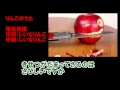 りんごのうた/椎名林檎/instrumental/歌詞/RINGONO UTA/Ringo Sheena