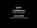Conductor Demo - Watch It Triage 3 Real Directives