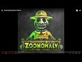 Zoonomaly Chase Theme