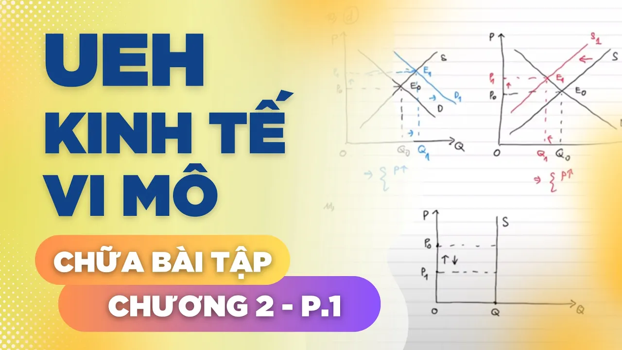 UEH - Sách bài tập Kinh tế vi mô - Chữa bài tập chương 2 (Phần 1)