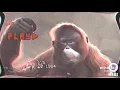 THAT'S A BET ( Produced by TAR_XAN )  #tyga #remix #news #twitch #gamer #gaming #twitchstreamer