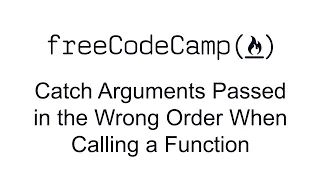 Catch Arguments Passed in the Wrong Order When Calling a Function - Debugging