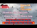 Download Lagu SP ANTI GALAU TWB STEREO INAP BJA ORIGINAL - SP ST SI CUMA PAKAI 1.Flashdisk 1 player 👍
