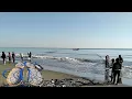 Download Lagu Luar Biasa ❗ Jaring Pukat pantai Nelayan Tradisional Panen Ikan, Hasilnya diluar dugaan.