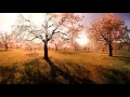 Download Lagu Take Me to Paradise -  Peter Pearson
