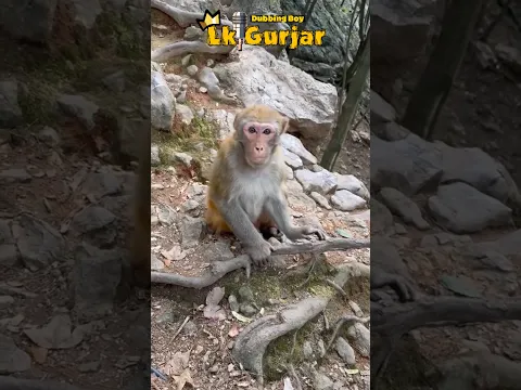 Are Bhai Moye De De 🤣🤣 #funny #comedy