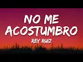 Download Lagu Rey Ruiz - No Me Acostumbro (Letra/Lyrics)