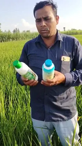 हरिद्वार में खानपुर ब्लॉक के किसान सुशील कुमार ने अच्छी पैदावार की वजह क्या बताई