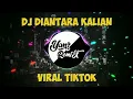 DJ DIANTARA KALIAN - LUPAKAN AKU KEMBALI PADANYA AKU BUKAN SIAPA SIAPA UNTUKMU || VIRAL DI TIKTOK