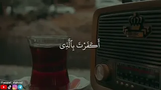   قال له صاحبه وهو يحاوره أكفرت بالذي خلقك من تراب   سورة الكهف الآية  ٣٧   القارئ احمد نعينع دندنها