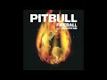 Pitbull - Fireball (Audio) ft. John Ryan