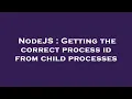 NodeJS Getting the correct process id from child processes