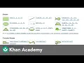 The Power of the Docs Intro to JS Drawing Animation Computer programming Khan Academy