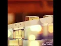 Download Lagu Merpati Ben. Setia selamanya dengan ku.