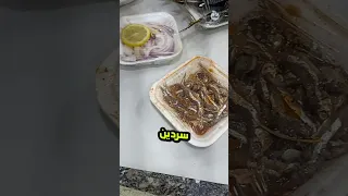 عرض الـ300 من لايف امبارح فسيخ رنجه Shorts سمك عين شمس  عرض الـ300 من لايف امبارح فسيخ رنجه Shorts سمك عين شمس