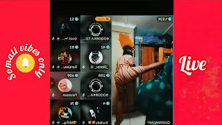  somali niiko moves live traditional dance