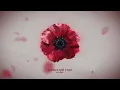 Kolibri, Zlata Ko - Черноний мак 2026р.
