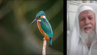 الرقية الشرعية بصوت الشيخ محمود سرحان 