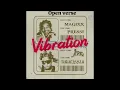 MAGIXX FT JERIQ -VIBRATION OPEN VERSE