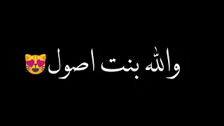 يا حبيبتي يا ام كيان  حالات  عصام صاصا دندنها