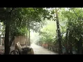 Download Lagu Rain \u0026 Thunder Sound at Village | Suara Hujan dan Petir di Desa