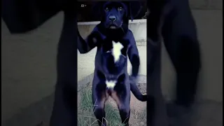 Https Open Spotify Com Track 6kV1qLMU3Y6yMcg2tSOFSR Si 2LLmY1RDRnWjSA2QlYlI A 