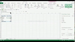 How to get Pivot Table Tools Analyze Tab in MS Excel 2013 Basic excel skill